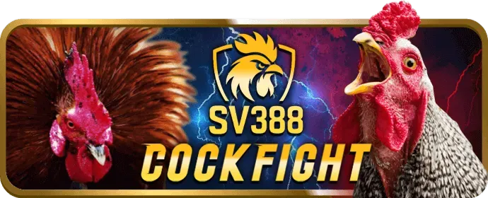 Hệ thống cấp độ VIP 007wjn